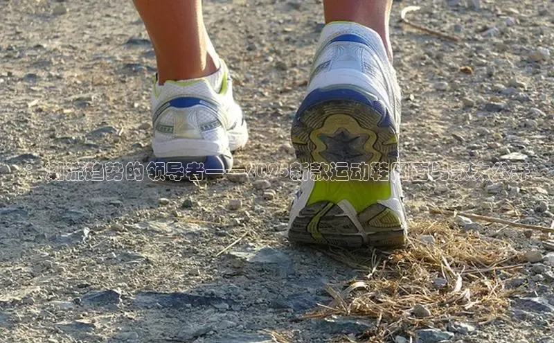 乐玩国际网址极氪智能科技：潮流趋势的领导者——2025新款运动鞋网面男款大公开