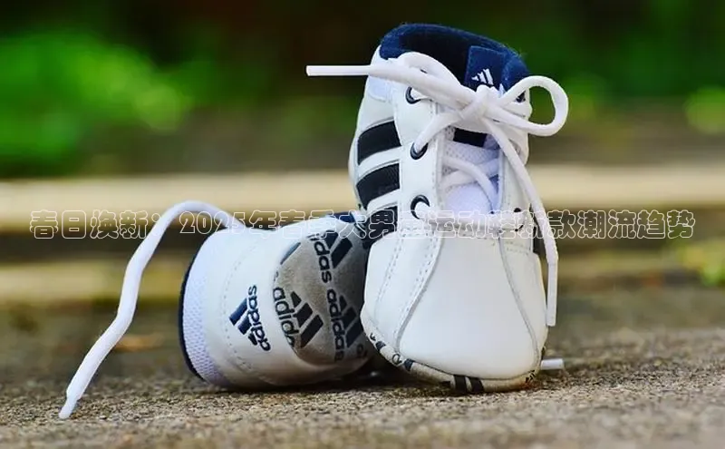 春日焕新：2025年春季大男童运动鞋新款潮流趋势