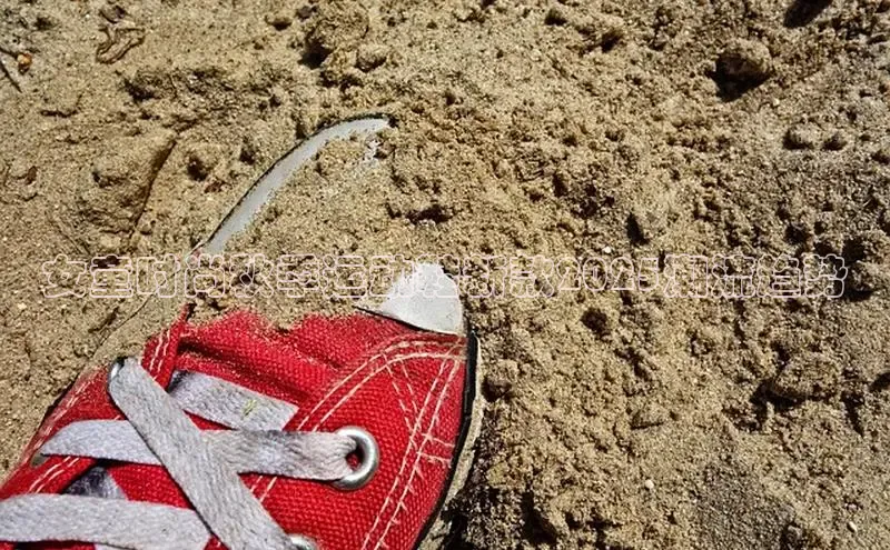 乐玩lewin官网手机版登录