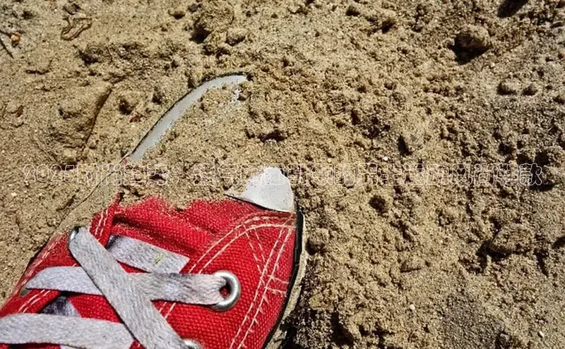 乐玩app官网入口